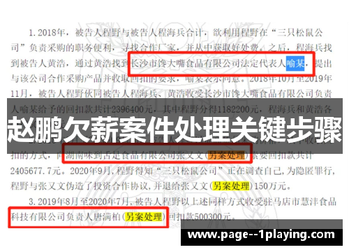 赵鹏欠薪案件处理关键步骤 赵鹏欠薪案件处理关键步骤