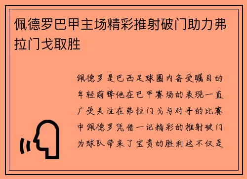 佩德罗巴甲主场精彩推射破门助力弗拉门戈取胜 佩德罗巴甲主场精彩推射破门助力弗拉门戈取胜